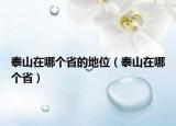 泰山在哪個(gè)省的地位（泰山在哪個(gè)省）