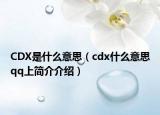 CDX是什么意思（cdx什么意思qq上簡(jiǎn)介介紹）