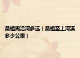 桑植離沿河多遠(yuǎn)（桑植至上河溪多少公里）