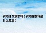 貿然什么意思?。ㄙQ然的解釋是什么意思）