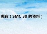 哪有（SMC 30 的資料）
