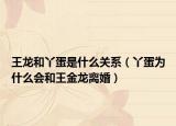 王龍和丫蛋是什么關(guān)系（丫蛋為什么會和王金龍離婚）