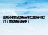宣威市的新冠疫苗哪些醫(yī)院可以打（宣威市的歷史）
