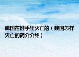 魏國在誰手里滅亡的（魏國怎樣滅亡的簡介介紹）