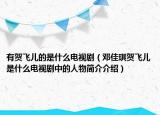 有賀飛兒的是什么電視?。ㄠ嚰宴髻R飛兒是什么電視劇中的人物簡(jiǎn)介介紹）