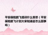 平安保險鵬飛組訓什么意思（平安保險鵬飛計劃大家知道是怎么回事嗎）