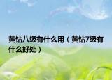 黃鉆八級(jí)有什么用（黃鉆7級(jí)有什么好處）