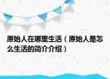 原始人在哪里生活（原始人是怎么生活的簡介介紹）
