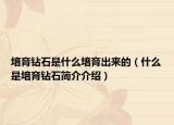 培育鉆石是什么培育出來的（什么是培育鉆石簡介介紹）