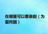 在哪里可以看泰?。閻鬯В? /></span></a>
                        <h2><a href=