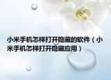 小米手機(jī)怎樣打開隱藏的軟件（小米手機(jī)怎樣打開隱藏應(yīng)用）