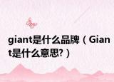 giant是什么品牌（Giant是什么意思?）