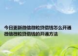 今日更新微信微粒貸借錢怎么開通 微信微粒貸借錢的開通方法