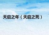 天啟之年（天啟之死）