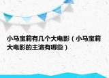 小馬寶莉有幾個(gè)大電影（小馬寶莉大電影的主演有哪些）