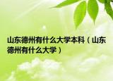 山東德州有什么大學(xué)本科（山東德州有什么大學(xué)）