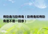 脊肋角與肋脊角（肋脊角和脊肋角是不是一回事）