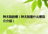 種太陽(yáng)的梗（種太陽(yáng)是什么梗簡(jiǎn)介介紹）