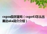 csgoa段厲害嗎（csgo43怎么出黑邊aka簡介介紹）
