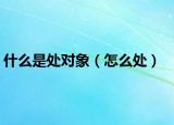 什么是處對象（怎么處）