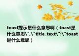 toast提示是什么意思?。╰oast是什么意思