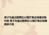 男子為省過(guò)路費(fèi)拉12箱芒果走綠通詳細(xì)內(nèi)容 男子為省過(guò)路費(fèi)拉12箱芒果走綠通具體介紹