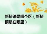 新橋鎮(zhèn)是哪個(gè)區(qū)（新橋鎮(zhèn)是在哪里）