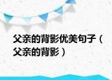 父親的背影優(yōu)美句子（父親的背影）