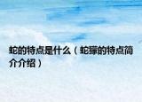 蛇的特點(diǎn)是什么（蛇獴的特點(diǎn)簡(jiǎn)介介紹）