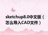 sketchup8.0中文版（怎么導(dǎo)入CAD文件）