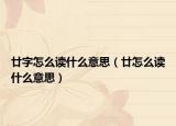廿字怎么讀什么意思（廿怎么讀什么意思）