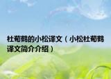 杜荀鶴的小松譯文（小松杜荀鶴譯文簡(jiǎn)介介紹）