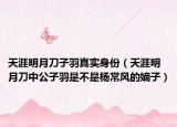 天涯明月刀子羽真實(shí)身份（天涯明月刀中公子羽是不是楊常風(fēng)的嫡子）