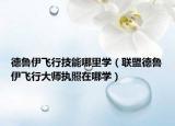 德魯伊飛行技能哪里學（聯(lián)盟德魯伊飛行大師執(zhí)照在哪學）