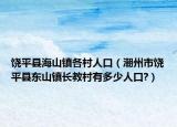 饒平縣海山鎮(zhèn)各村人口（潮州市饒平縣東山鎮(zhèn)長(zhǎng)教村有多少人口?）