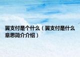 翼支付是個(gè)什么（翼支付是什么意思簡介介紹）