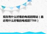現(xiàn)在有什么好看的電視劇網(wǎng)站（最近有什么好看的電視劇7788）