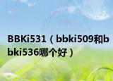 BBKi531（bbki509和bbki536哪個(gè)好）