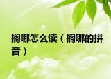 擱哪怎么讀（擱哪的拼音）