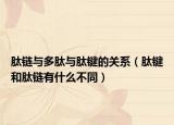 肽鏈與多肽與肽鍵的關(guān)系（肽鍵和肽鏈有什么不同）