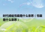 時代峰峻雪藏是什么意思（雪藏是什么意思）