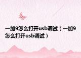 一加9怎么打開(kāi)usb調(diào)試（一加9怎么打開(kāi)usb調(diào)試）