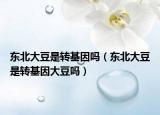 東北大豆是轉(zhuǎn)基因嗎（東北大豆是轉(zhuǎn)基因大豆嗎）