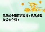 鳳凰嶺金剛石塔海拔（鳳凰嶺海拔簡介介紹）