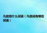 凡能組什么詞語（凡組詞有哪些詞語）