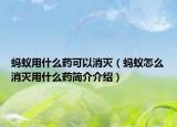 螞蟻用什么藥可以消滅（螞蟻怎么消滅用什么藥簡介介紹）