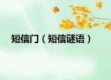 短信門（短信謎語(yǔ)）