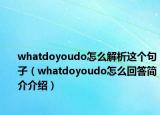 whatdoyoudo怎么解析這個句子（whatdoyoudo怎么回答簡介介紹）