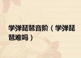 學(xué)彈琵琶音階（學(xué)彈琵琶難嗎）