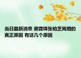 當(dāng)日最新消息 謝霆鋒張柏芝離婚的真正原因 有這幾個(gè)原因